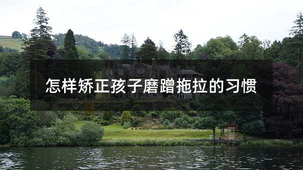 怎樣矯正孩子磨蹭拖拉的習慣