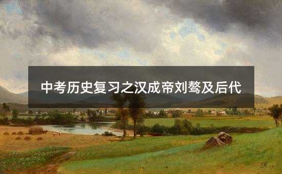 中考?xì)v史復(fù)習(xí)之漢成帝劉驁及后代