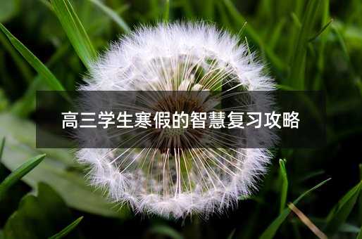 高三學生寒假的智慧復習攻略