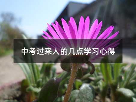 中考過來人的幾點學習心得
