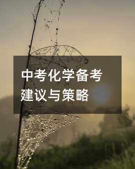中考化學(xué)備考建議與策略