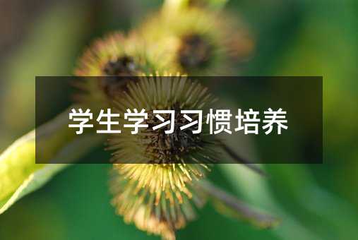學生學習習慣培養
