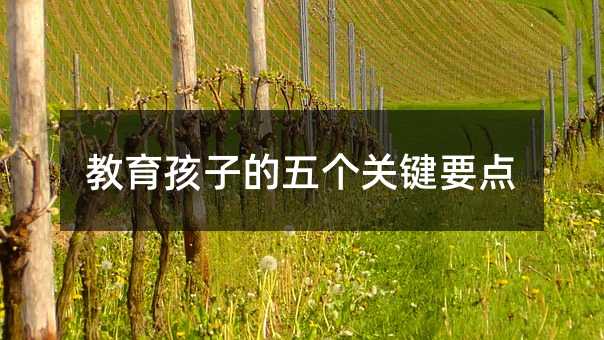 ӵ傀PIҪc