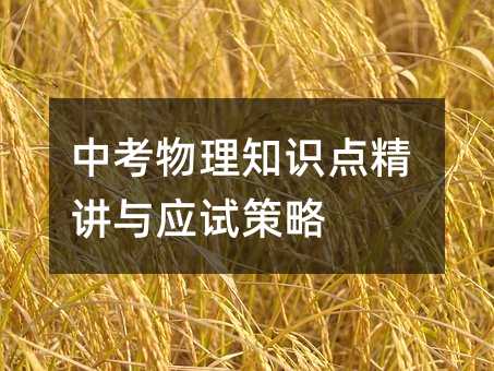 中考物理知識點精講與應試策略