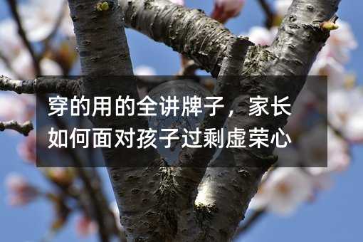 穿的用的全講牌子,家長如何面對孩子過剩虛榮心