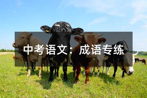 中考語文:成語專練