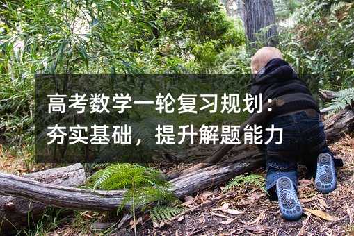 高考數(shù)學一輪復習規(guī)劃:夯實基礎,提升解題能力