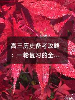高三歷史備考攻略:一輪復習的全面指南