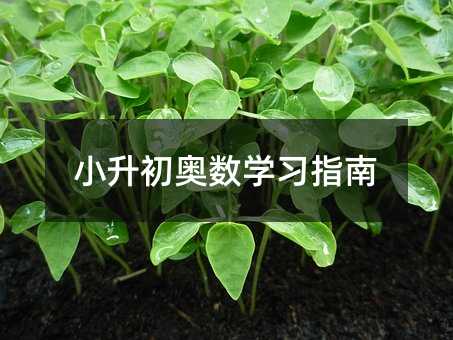 小升初奧數學習指南