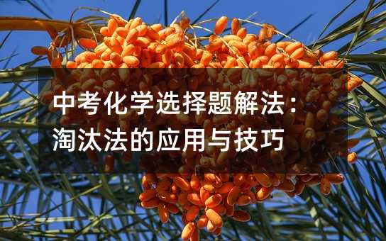 中考化學選擇題解法:淘汰法的應用與技巧