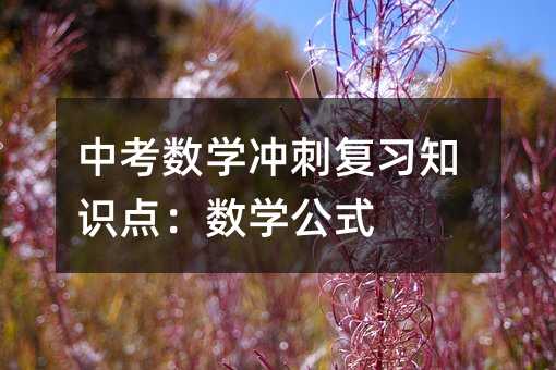 中考數學沖刺復習知識點:數學公式