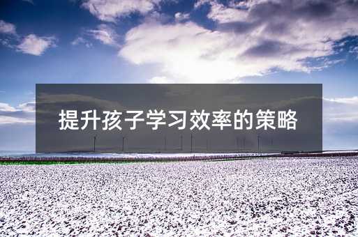 提升孩子學(xué)習(xí)效率的策略