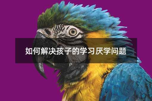 如何解決孩子的學(xué)習(xí)厭學(xué)問題