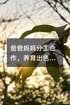 爸爸媽媽分工合作,養育出色的寶寶