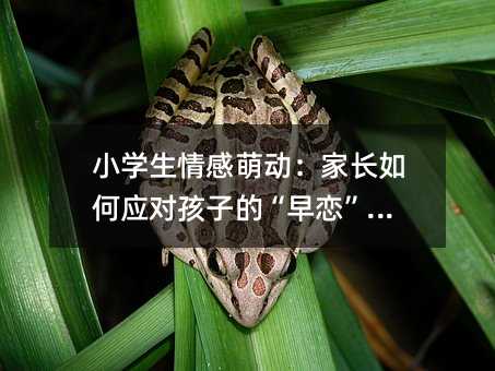 小學(xué)生情感萌動(dòng):家長(zhǎng)如何應(yīng)對(duì)孩子的“早戀”問(wèn)題