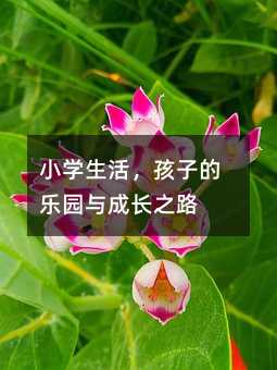 小學(xué)生活,孩子的樂園與成長(zhǎng)之路