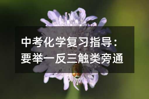 中考化學復習指導:要舉一反三觸類旁通