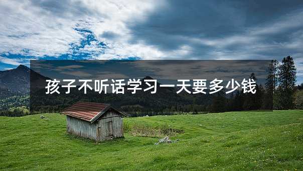 孩子不聽話學習一天要多少錢