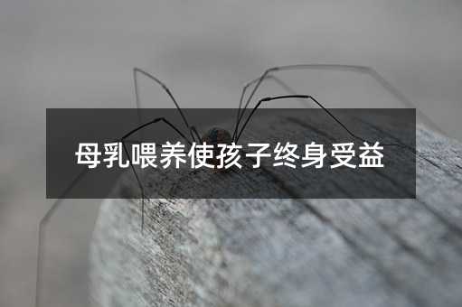 母乳喂養(yǎng)使孩子終身受益