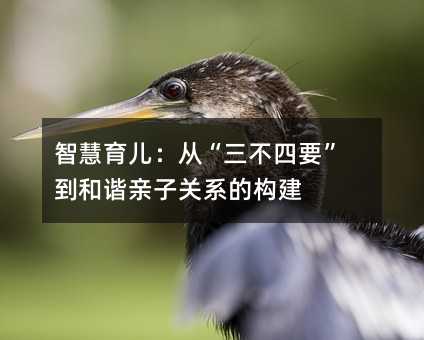 智慧育兒:從“三不四要”到和諧親子關系的構建