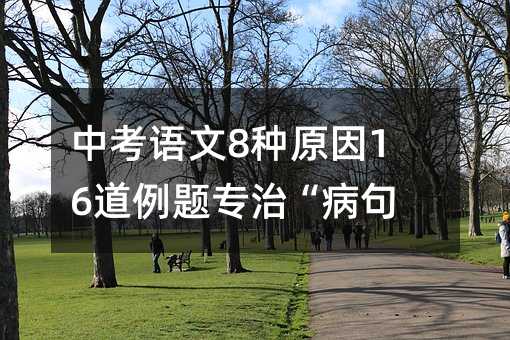 中考語文8種原因16道例題專治“病句”