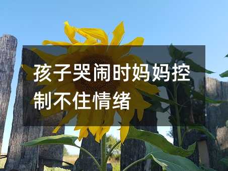ӿ[rƲסw