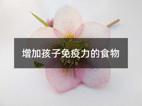 Ӻʳ
