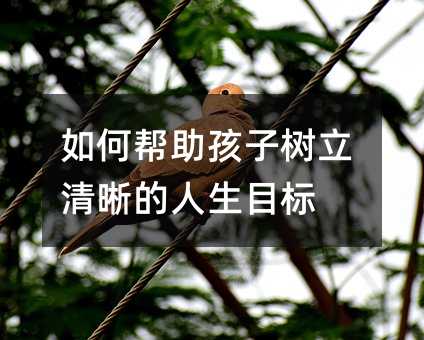 如何幫助孩子樹(shù)立清晰的人生目標(biāo)