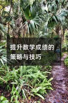 提升數學成績的策略與技巧