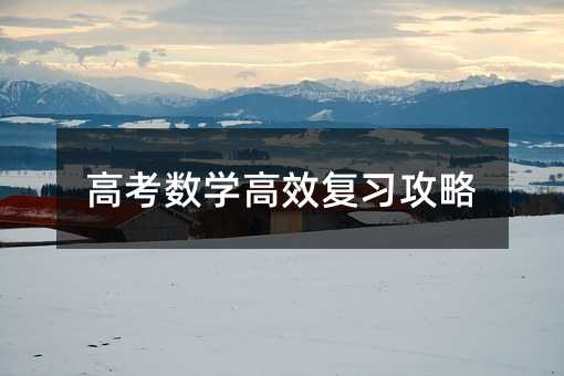 高考數(shù)學高效復習攻略