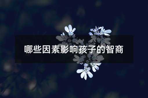 ЩӰ푺ӵ