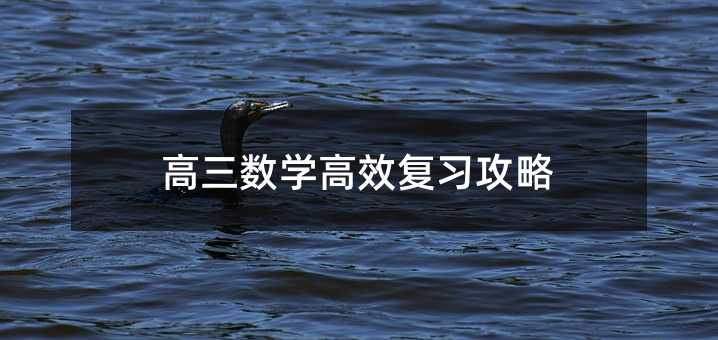 �������W��Ч��������