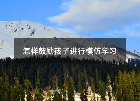 怎樣鼓勵孩子進行模仿學(xué)習(xí)