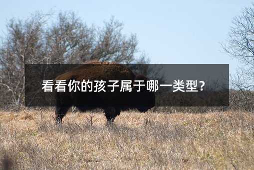 看看你的孩子屬于哪一類型?