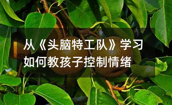 從《頭腦特工隊》學習如何教孩子控制情緒