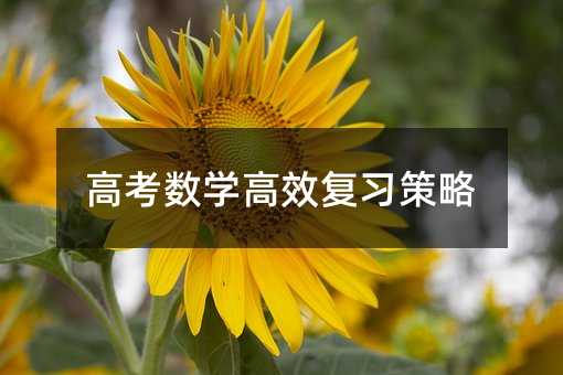 高考數(shù)學高效復習策略