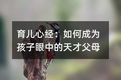育兒心經(jīng):如何成為孩子眼中的天才父母