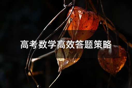 高考數(shù)學(xué)高效答題策略