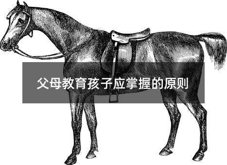 父母教育孩子應(yīng)掌握的原則