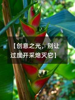 【創意之光,別讓過度開采熄滅它】