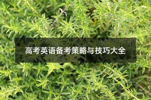 �߿�Ӣ�Z�俼�����c���ɴ�ȫ