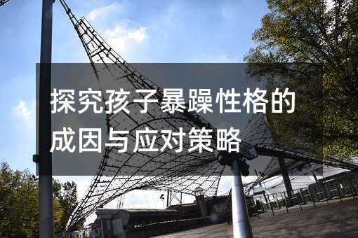 探究孩子暴躁性格的成因與應(yīng)對策略