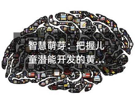 智慧萌芽:把握兒童潛能開發的黃金期