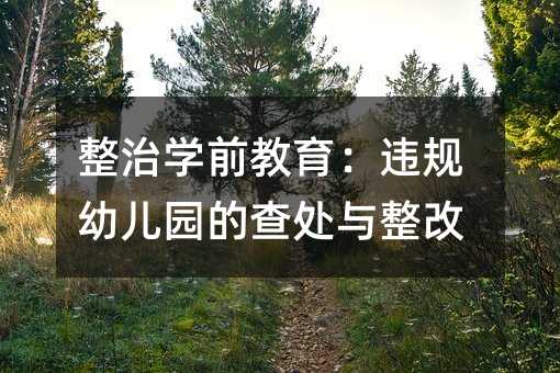 整治學前教育：違規幼兒園的查處與整改