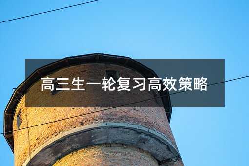 高三生一輪復習高效策略
