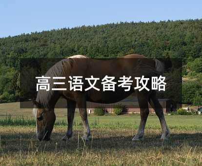 高三語文備考攻略
