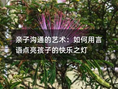 親子溝通的藝術(shù):如何用言語點亮孩子的快樂之燈