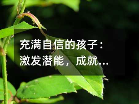 充滿自信的孩子:激發潛能,成就自我