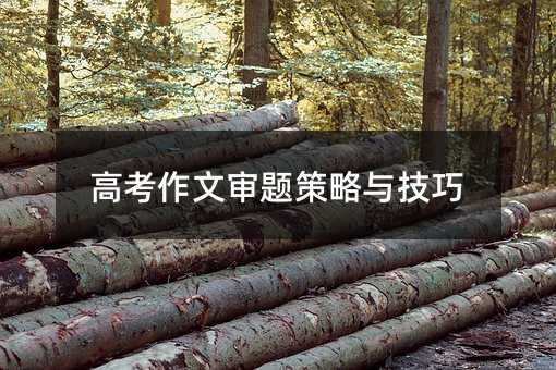 高考作文審題策略與技巧
