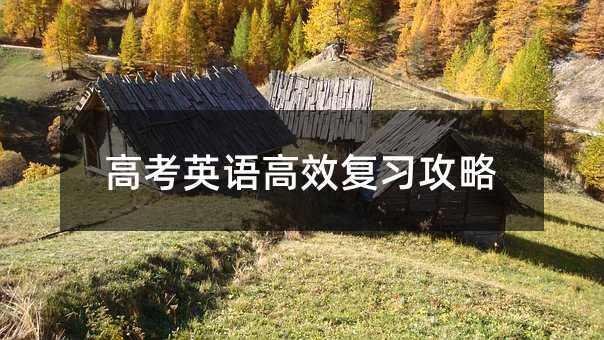 高考英語高效復(fù)習(xí)攻略